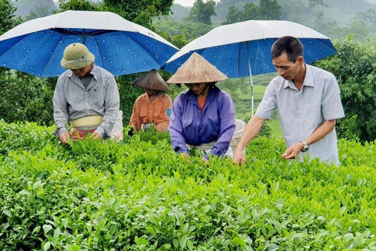 Dòng vốn chính sách vẫn bền bỉ tuôn chảy hỗ trợ người dân