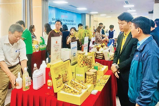 Hải Phòng đẩy mạnh kết nối sản xuất và tiêu thụ nông sản miền núi, hải đảo