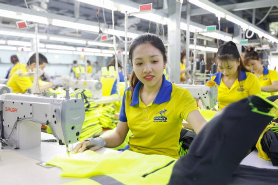 Quy định mới về hưởng bảo hiểm thất nghiệp có hiệu lực từ ngày 15/02 Quy định mới về hưởng bảo hiểm thất nghiệp có hiệu lực từ ngày 15/02