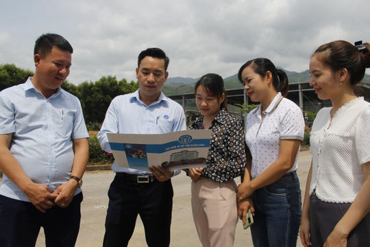 Phát triển đối tượng tham gia bảo hiểm xã hội, bảo hiểm y tế: Tín hiệu khả quan Phát triển đối tượng tham gia bảo hiểm xã hội, bảo hiểm y tế: Tín hiệu khả quan
