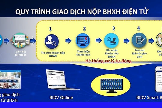 Tiếp nhận và xử lý 6.799 giao dịch đóng bảo hiểm xã hội tự nguyện trực tuyến Tiếp nhận và xử lý 6.799 giao dịch đóng bảo hiểm xã hội tự nguyện trực tuyến