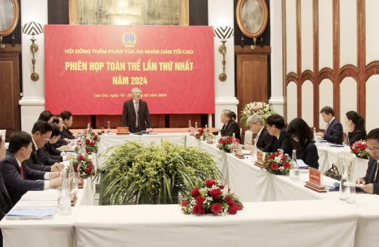 Tập trung xây dựng pháp luật, phát triển án lệ