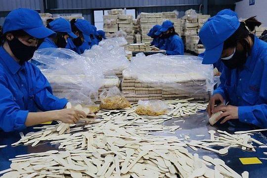 Bắc Kạn: Kim ngạch xuất, nhập khẩu tăng 137,36%  Bắc Kạn: Kim ngạch xuất, nhập khẩu tăng 137,36%