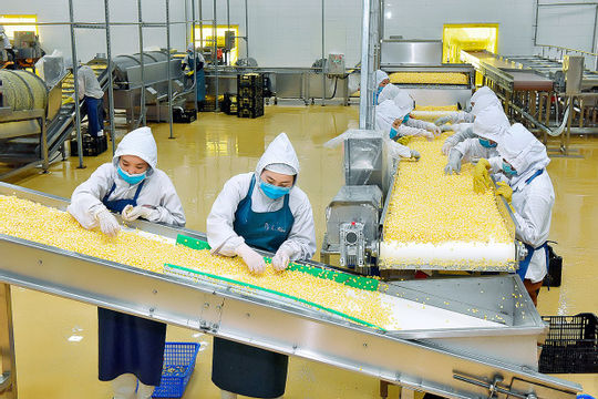 Thu hút doanh nghiệp đầu tư, tạo “giá trị xanh” trong nông nghiệp