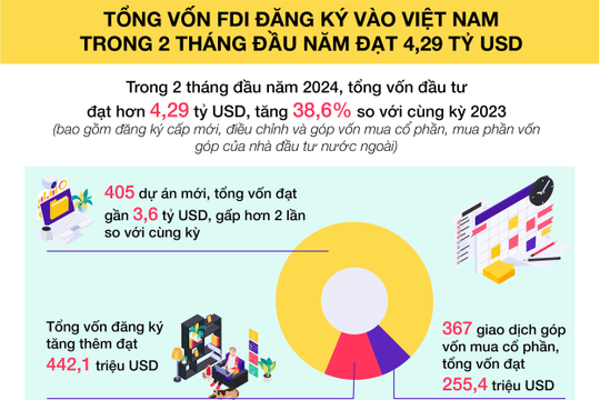 Infographic - FDI 2 tháng đầu năm 2024 đạt 4,29 tỷ USD