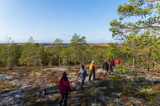 Phần Lan: Đánh giá hiệu quả của các hình thức hỗ trợ đối với ngành lâm nghiệp