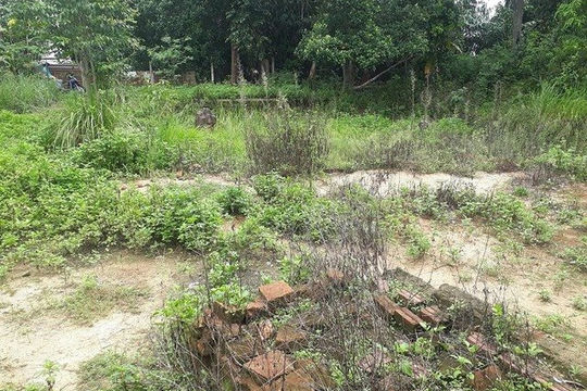 Đà Nẵng đôn đốc đẩy nhanh tiến độ công tác đền bù giải tỏa các dự án