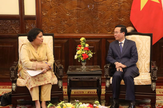 Chủ tịch nước tiếp Đại sứ Pakistan