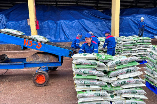 Áp thuế GTGT để tạo cạnh tranh công bằng cho phân bón nội 