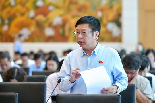 Cần nghiêm cấm việc gom tài sản để đấu giá theo lô