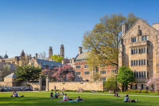 Australia: Đề cao vai trò của việc đánh giá tính trung thực trong kiểm toán