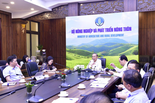 Xuất khẩu nông, lâm, thủy sản tăng mạnh, đạt 13,53 tỷ USD