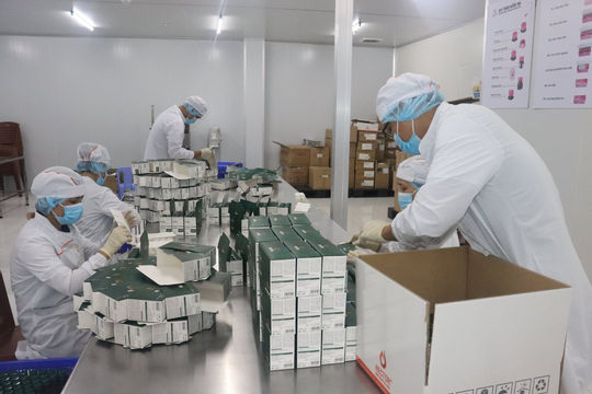 Sản xuất - kinh doanh tại các khu công nghiệp sẽ khởi sắc hơn