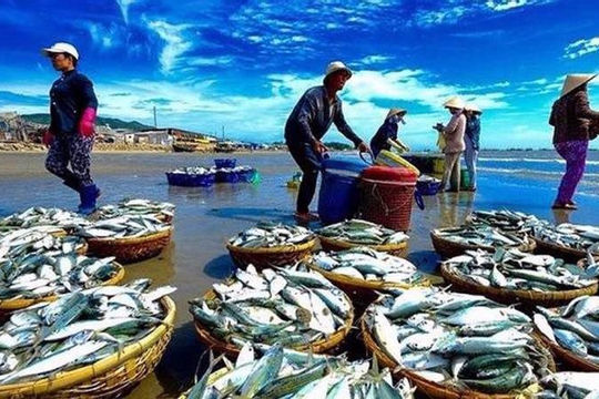 Vi phạm hành chính trong lĩnh vực thủy sản bị phạt tới 2 tỷ đồng