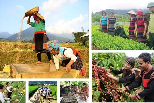 Triển khai cơ chế, chính sách đặc thù chương trình mục tiêu quốc gia tại địa phương