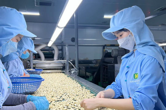 Bình Phước thu thuế đạt 100% dự toán