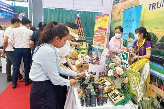 Thành lập Trung tâm Xúc tiến Đầu tư, Thương mại và Hỗ trợ doanh nghiệp tỉnh Thừa Thiên Huế