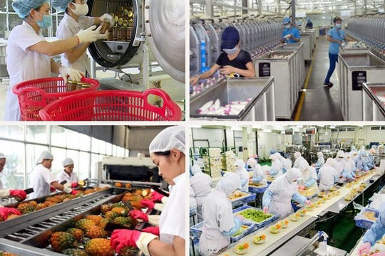 Hơn 70% vốn FDI đầu tư cho công nghiệp chế biến, chế tạo