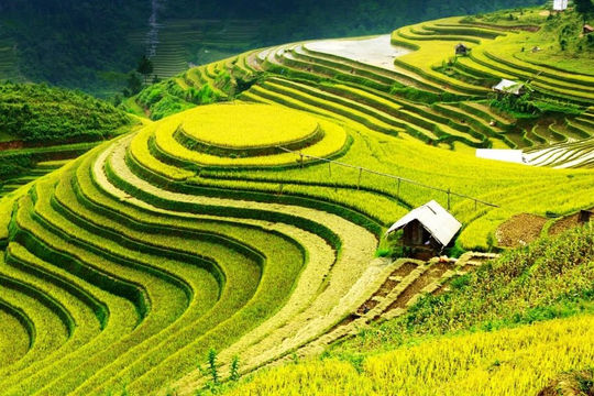 Đến năm 2030, trung du và miền núi phía Bắc trở thành vùng phát triển xanh, bền vững