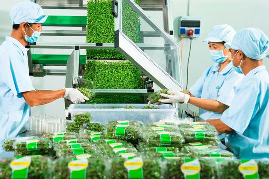 Nâng cao khả năng tiếp cận tín dụng xanh cho doanh nghiệp