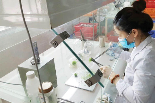 Tháo gỡ những nút thắt trong cơ chế, chính sách