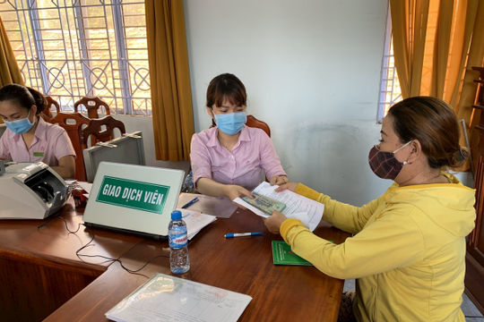 Cho vay theo chuỗi giá trị, giải cơn “khát” vốn trong nông nghiệp Cho vay theo chuỗi giá trị, giải cơn “khát” vốn trong nông nghiệp