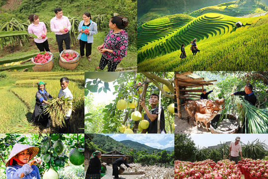 Tiếp tục đổi mới, nâng cao chất lượng chính sách xã hội