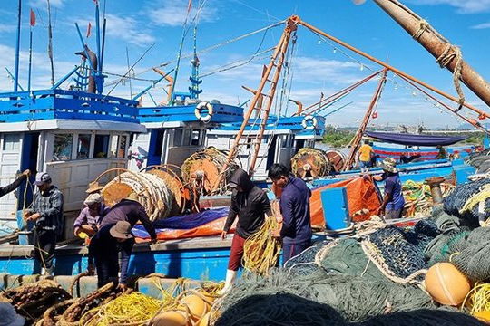 Đến 2050, Việt Nam trở thành quốc gia có nghề cá phát triển bền vững, hiện đại