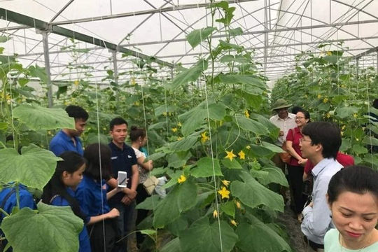 Nghệ An có thêm 16 xã đạt chuẩn nông thôn mới nâng cao