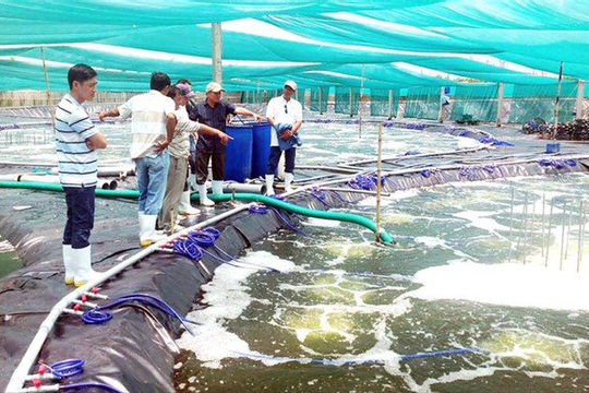 Bến Tre ưu tiên thu hút đầu tư vào dự án công nghệ cao, công nghệ sạch  Bến Tre ưu tiên thu hút đầu tư vào dự án công nghệ cao, công nghệ sạch