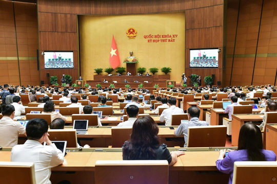 Chuyên nghiệp hoạt động đấu giá tài sản