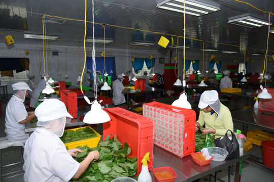 Xuất khẩu “bùng nổ”, nông sản hướng đến mục tiêu tăng trưởng cao