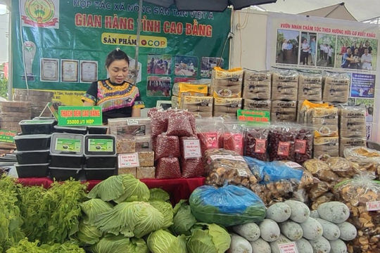Cao Bằng: Mục tiêu đến năm 2025, có từ 150 sản phẩm OCOP được công nhận đạt từ 3 sao trở lên