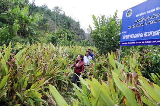 Bắc Kạn: Đẩy nhanh tiến độ giải ngân vốn các dự án thuộc Chương trình mục tiêu quốc gia Bắc Kạn: Đẩy nhanh tiến độ giải ngân vốn các dự án thuộc Chương trình mục tiêu quốc gia