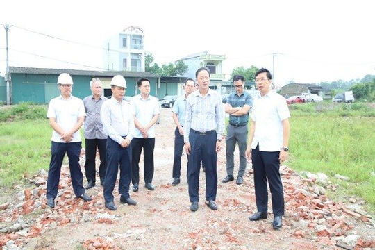 
Kiểm tra công tác giải phóng mặt bằng Dự án đường dây 500kV đoạn qua tỉnh Hưng Yên