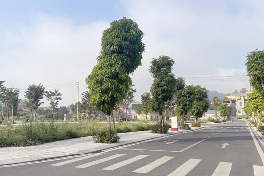 Thúc đẩy thực hiện các dự án bất động sản và đấu giá đất Thúc đẩy thực hiện các dự án bất động sản và đấu giá đất