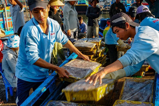 Khai thác phải gắn với bảo vệ nguồn lợi thủy sản bền vững