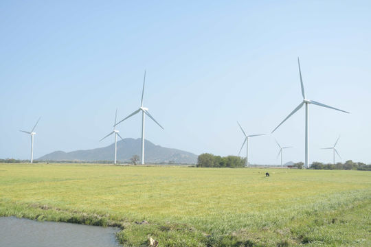 Hướng tới Net Zero: Cần “tăng tốc” trước khi bị loại khỏi cuộc chơi!