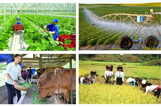 Tổng điều tra nông thôn, nông nghiệp năm 2025 vào ngày 01/7/2025