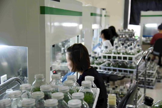 Hậu Giang: Hơn 85% đề tài nghiên cứu được ứng dụng tốt vào quá trình sản xuất 