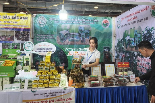 Bắc Kạn tập trung triển khai các Đề án khuyến công  Bắc Kạn tập trung triển khai các Đề án khuyến công