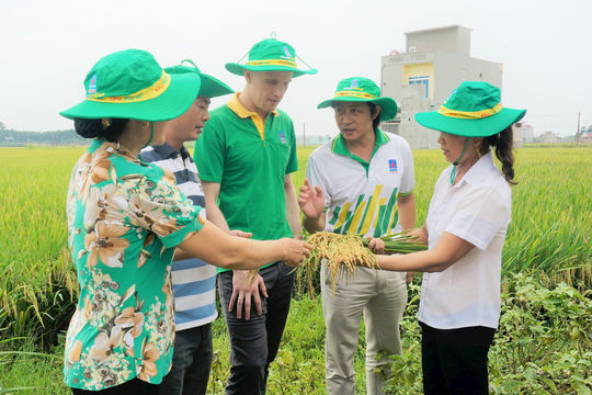 Thuế đối với phân bón còn bất cập, cần sửa đổi Luật 71