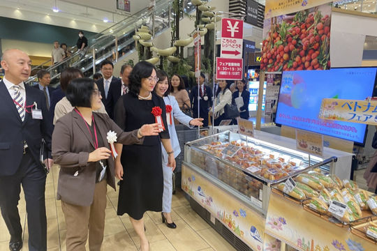 Thúc đẩy giao thương Việt Nam - Nhật Bản