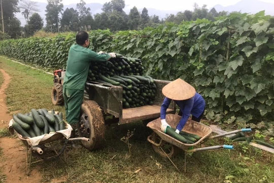 Huy động nguồn lực để giảm nghèo bền vững