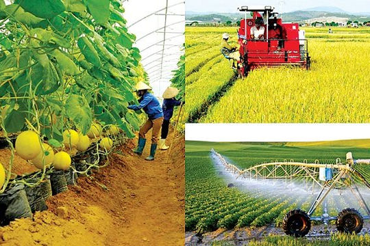 GDP tăng 6,42%, kinh tế tiếp tục xu hướng tích cực GDP tăng 6,42%, kinh tế tiếp tục xu hướng tích cực