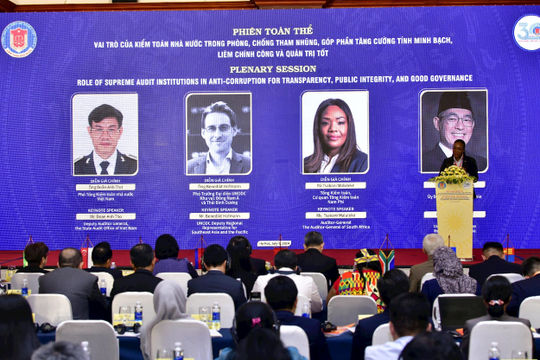 Những đóng góp của SAI Nam Phi trong chống tham nhũng của Chính phủ