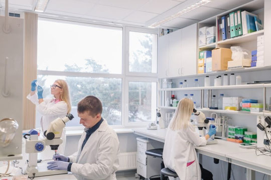 Estonia: Kiểm toán chất lượng dịch vụ chăm sóc sức khỏe trên phạm vi toàn quốc