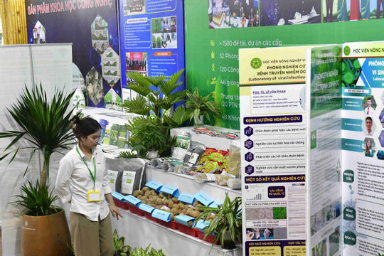 Lắng nghe thị trường và minh bạch trong ứng dụng công nghệ vào nông nghiệp