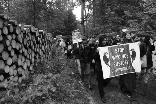 Ba Lan: Nhiều bất cập trong công tác quản lý Rừng Białowieża Ba Lan: Nhiều bất cập trong công tác quản lý Rừng Białowieża