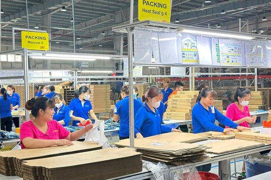 Hòa Bình: Cần thêm những động lực mạnh mẽ để tăng tốc, bứt phá 